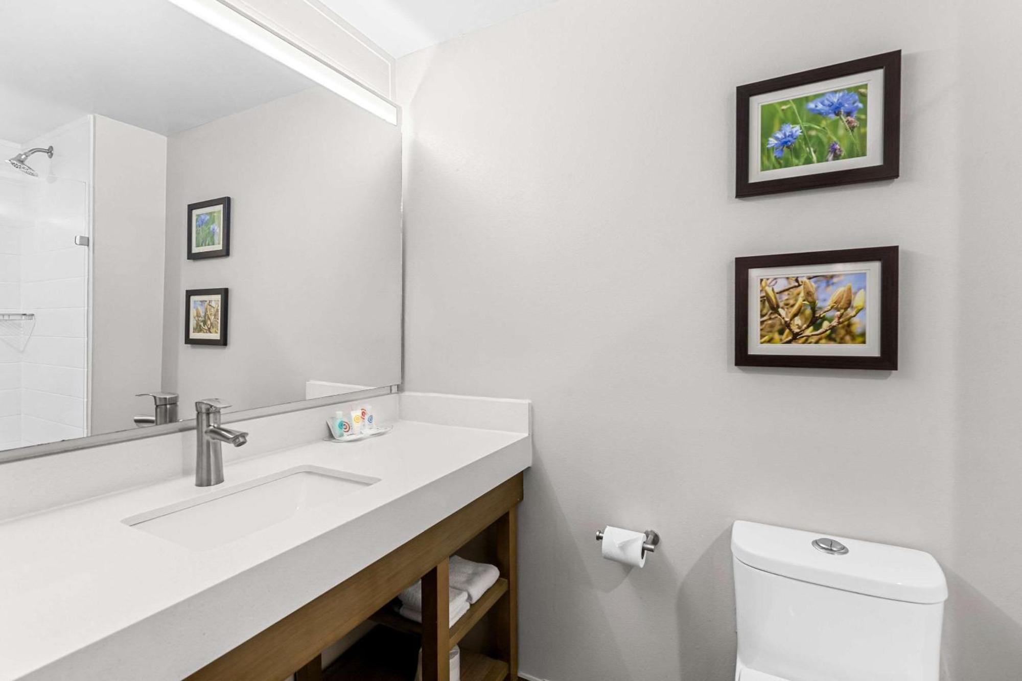 Comfort Suites Columbia Bagian luar foto